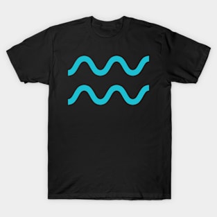 Aquarius T-Shirt